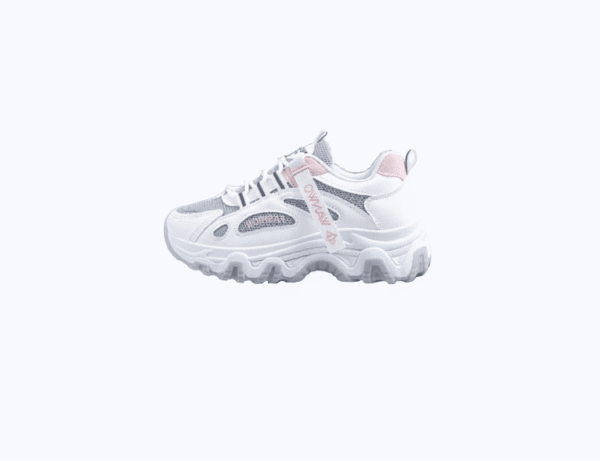 New Mesh Surface Clunky Sneakers Soft Sole Sneakers